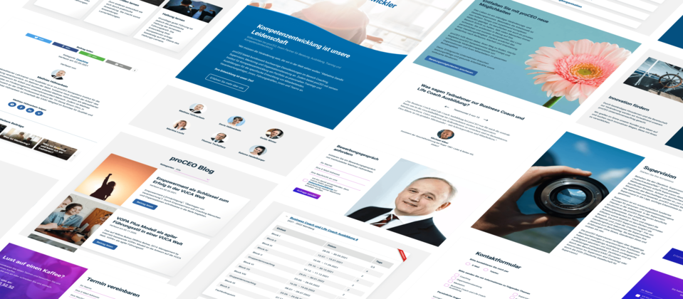 Collage der zahlreichen inhaltlichen Komponenten für die Webseite von proceo.de